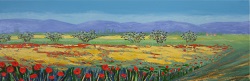 coquelicots dans les Alpilles pti